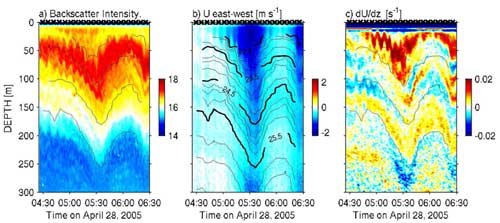 Solitary wave in the South China Sea