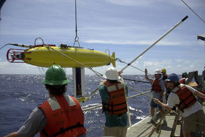 Marlin Recovery